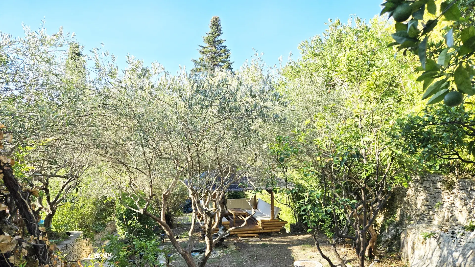 jardin provencal de la chambre d'hôtes