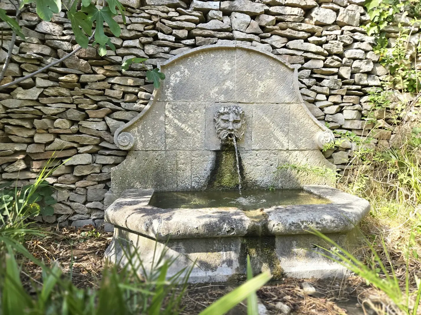 la fontaine ancienne en pierre de la maison d'hôtes à Nîmes